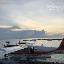 фото из отзыва ID 2179324