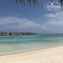 фото из отзыва ID 2179324