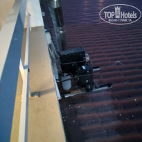 фото из отзыва ID 2179093