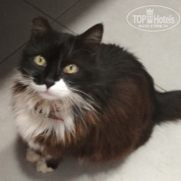 фото из отзыва ID 2179093