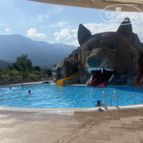 фото из отзыва ID 2179572