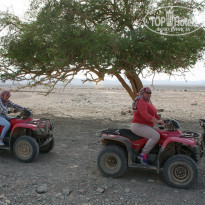 фото из отзыва ID 2179583