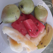 фото из отзыва ID 2179586