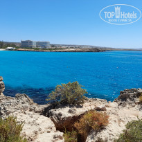 фото из отзыва ID 2179586