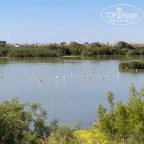 фото из отзыва ID 2179586