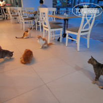 фото из отзыва ID 2179586