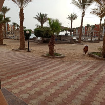 фото из отзыва ID 2179606