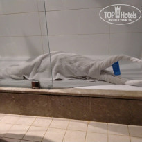 фото из отзыва ID 2179674