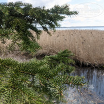 фото из отзыва ID 2179835