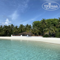 фото из отзыва ID 2178956