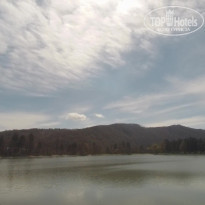 фото из отзыва ID 2176871