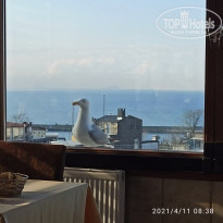 фото из отзыва ID 2174322