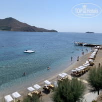 фото из отзыва ID 2171258