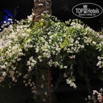 фото из отзыва ID 2171320