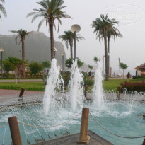 фото из отзыва ID 218033