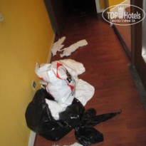 фото из отзыва ID 218188