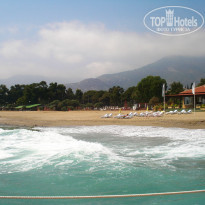 фото из отзыва ID 218343