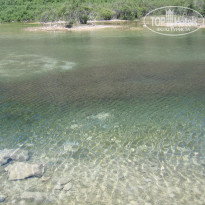 фото из отзыва ID 218356