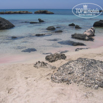 фото из отзыва ID 218356