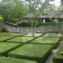 фото из отзыва ID 218449