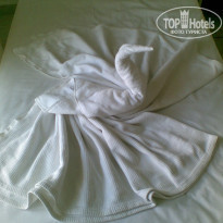 фото из отзыва ID 218906