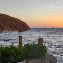 фото из отзыва ID 2180068