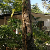 фото из отзыва ID 2180372