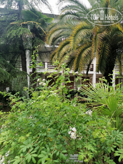 Абхазия Парк-отель