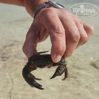 фото из отзыва ID 2180650