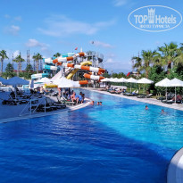 фото из отзыва ID 2180775