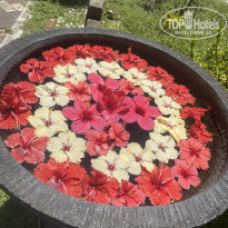 фото из отзыва ID 2180665