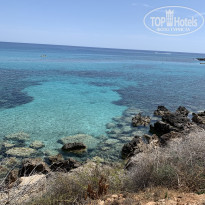 фото из отзыва ID 2180854