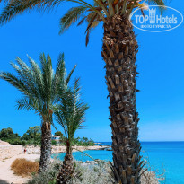 фото из отзыва ID 2180854