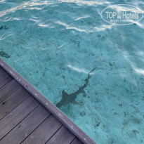 фото из отзыва ID 2181116