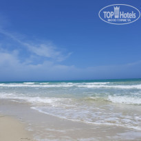 фото из отзыва ID 2181129