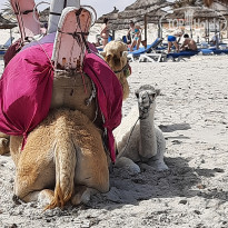 фото из отзыва ID 2181129