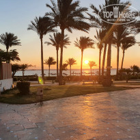 фото из отзыва ID 2181207