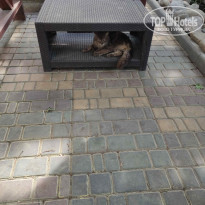 фото из отзыва ID 2181215