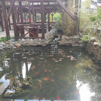 фото из отзыва ID 2181215