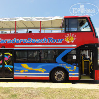 фото из отзыва ID 2181508