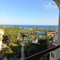 фото из отзыва ID 2181494