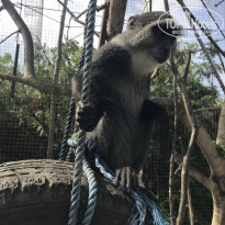 фото из отзыва ID 2181563