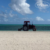 фото из отзыва ID 2181601