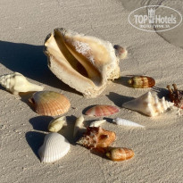 фото из отзыва ID 2181601