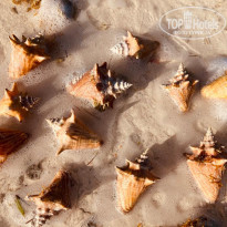 фото из отзыва ID 2181601