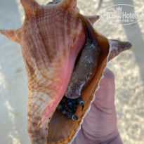 фото из отзыва ID 2181601