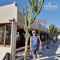 фото из отзыва ID 2181346