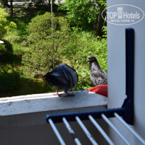 фото из отзыва ID 2181642