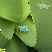 фото из отзыва ID 2181640