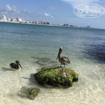 фото из отзыва ID 2181713